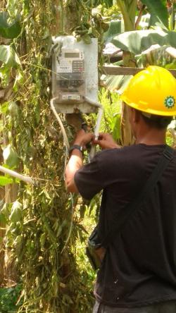 Disorot soal Instalasi Listrik Terpasang di Pohon Bertahun-tahun, Petugas PLN Beraksi