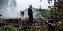 Waduh! Ribuan Ayam di Campaka Tewas Terbakar