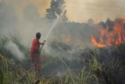 Karhutla di Dumai Berhasil Dipadamkan Petugas Gabungan