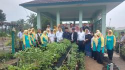 12 Tahun Berdiri, KWT Kenanga Tasikmalaya Konsisten Produksi Berbagai Sayuran untuk Kebutuhan Warga