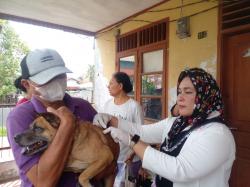 Cegah Penyebaran Rabies, Pemko Medan Lakukan Penyuntikan Vaksin Terhadap Hewan Peliharaan Masyarakat