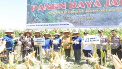 Panen Raya Sekolah Lapang Iklim Mendukung Ketahanan Pangan di Takalar