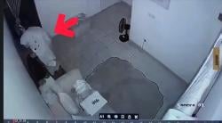 Maling di Rumah Ketua KPU Enrekang Terekam CCTV