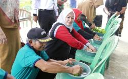 Lewat Sekolah Lapang, Petani Pandeglang Terapkan Pertanian Cerdas Tingkatkan Produktivitas