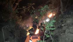 Hutan Lindung di Ponorogo Terbakar Hebat, Petugas Evakuasi Satwa