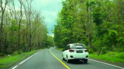 Bikin Bulu Kuduk Berdiri, Ini Kisah Mistik Alas Baluran Situbondo Pusat Gaib Tanah Jawa