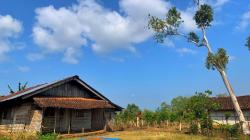 Mengungkap Asal Usul Kampung Tersembunyi di Tengah Hutan Ponorogo