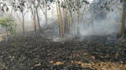 Kawasan Taman Nasional Gunung Ciremai di Kuningan Alami Karhutla