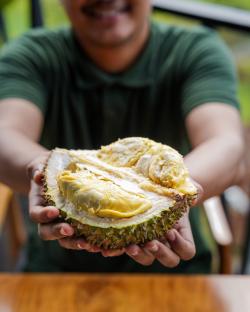 Pecinta Durian Wajib Tahu, Jowey Kitchen Sajikan Menu Serba Durian