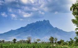 Misteri Rute Pendakian Gunung Anjasmoro Hingga Makam Dua Bayi di Puncak