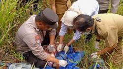 Geger! Jasad Bayi Usia 2 Minggu Ditemukan di TPU Sangasanga, Diduga Sengaja Dibunuh