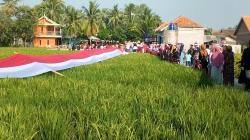 Unik, Warga Kota Serang Bentangkan Pengibaran Bendera Merah Putih 78 Meter di Pesawahan