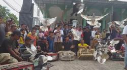 Gelar Budaya Desa Tota'an Merpati, Lepas Liarkan Burung Sebagai Simbol Kesetiaan