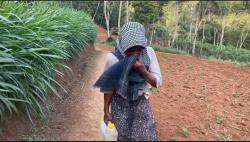 Dampak Kemarau Berkepanjangan, Warga Banjarnegara Harus Naik Turun Bukit Untuk Dapatkan Air Bersih