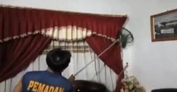 Dua Ekor Rakun Masuk Rumah Warga di Palangka Raya Dievakuai Petugas Damkar