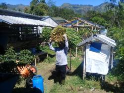 Tak Lagi Jadi Kepala Desa, Mantan Kades Ini Gemar Ngarit Rumput Pakan Kambing