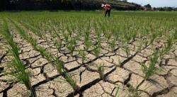 Ini Dampak Buruk Perubahan Iklim, Kurangnya Air Bersih Hingga Ganggu Siklus Pertanian