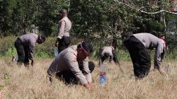 Gaungkan Penghijauan Sejak Dini, Kapolres Timor Tengah Utara beserta Jajaran Tanam 2400 Anakan Pohon