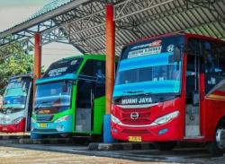 Bus Murni dan Bus Asli dari Pandeglang di Mata Penumpang, Sisi Baik dan Buruk