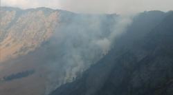 Hutan dan Lahan di Kawasan Wisata Bantengan Taman Nasional Bromo Tengger Semeru Terbakar Hebat