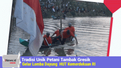 Lomba Dayung, Tradisi Unik Petani Tambak Gredek Memeriahkan HUT Kemerdekaan RI