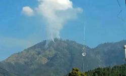 Hutan di Gunung Wilis Kebakaran, BPBD Nganjuk Turun Tangan