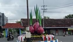 5 Daerah Penghasil Bawang Merah Terbesar di Jatim, Nganjuk Peringkat Teratas