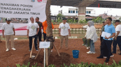 Perbaiki Kualitas Udara, Pemkot Jaktim Tanam Ribuan Pohon di Bawah Tol Becakayu