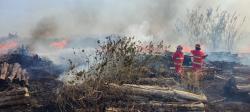 Lahan Kilang Minyak Terbakar, Tim Damkar Gabungan Berjibaku Padamkan Kobaran Api