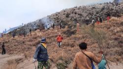 Padang Savana Gunung Bromo Terbakar, Diduga Ulah Pengunjung Prewedding