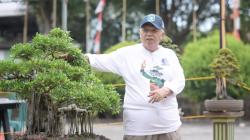 Bupati Sukirman Dukung Pameran Bonsai untuk Tingkatkan Ekonomi Kreatif di Bangka Barat