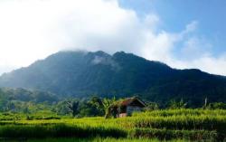 Kisah Mistis Gunung Subang, Kabut Gaib Sesatkan Pendaki