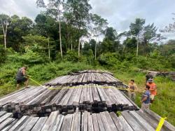 Berita Foto : Polres Teluk Bintuni Ungkap Dugaan Kasus Ilegal Logging, Satu ASN Jadi Tersangka