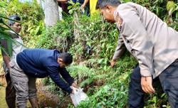 Geger, Warga Culamega Tasikmalaya Temukan Bayi Baru Lahir di Pinggir Sungai dalam Keadaan Hidup