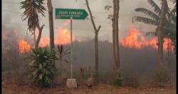 Savana  Ilalang Kawasan Ijen Terbakar, Petugas Kesulitan Padamkan Api 