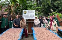 Dosen USU Sosialisasi Wirausaha di Langkat Tingkatkan Higienitas dan Pemasaran Terasi Udang Rebon