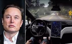 Elon Musk Nyaris Celaka saat Uji Coba Autopilot Tesla