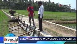 Video Pembangunan TPT Badan Jalan di Persawahan Pekon Dadirejo