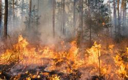 Pemadaman Manual, Kebakaran Semalam Gunung Kacapi Sumedang Hanguskan 6 Hektare Lahan