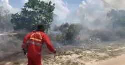 Cuaca Panas, Satu Hektare Lahan Gambut di Palangka Raya Terbakar