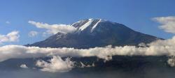 Fakta Unik Gunung Kilimanjaro, Pohon Berusia Ratusan Tahun di Gunung Tertinggi Benua Afrika