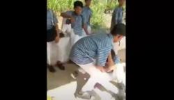 Terungkap! Pelaku Perundungan Siswa SMP di Cilacap Ternyata Ketua Geng Barisan