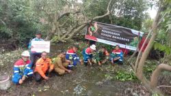 Lestarikan Lingkungan Belawan, Pertagas ONSA Tanam 500 Pohon Mangrove