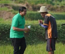 Perkuat Ketahanan Pangan,  PPP Berikan Bantuan Pupuk  ke Petani