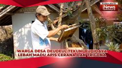 VIDEO: Warga Desa Deudeul Tasikmalaya Budidaya Lebah Apis Cerana dan Trigona, Madu Rasa Manis Asam