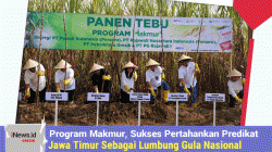 Program Makmur, Sukses Pertahankan Predikat Jawa Timur Sebagai Lumbung Gula Nasional