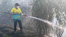 Bupati Bangka Tengah Pimpin Langsung Pemadaman Api di Hutan Lindung Koba