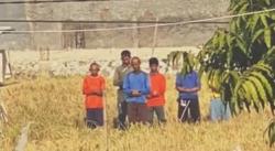 Viral, Video Bapak-bapak Petani Sholat Berjamaah di Sawah,Netizen:Taat Kewajiban di Mana pun Berada