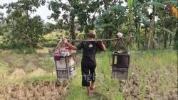 Unik! Penjual Kopi di Ponorogo Ini, Dipikul Berkeliling Sawah