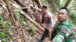 Berburu Burung di Hutan Lindung Cikolak Garut, 4 Pria Meninggal Tertimpa Pohon